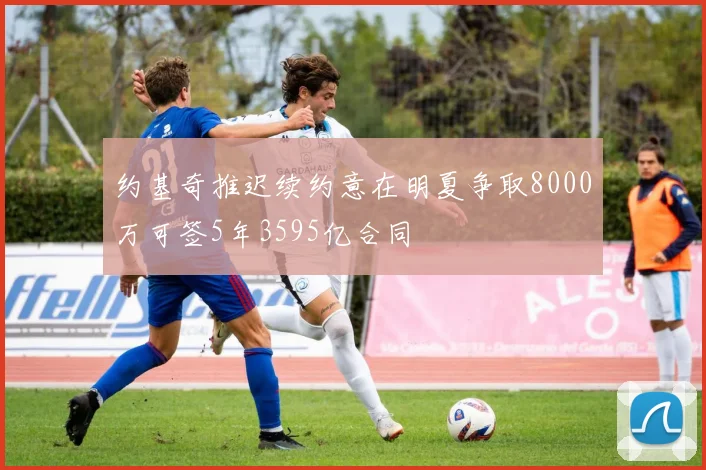 约基奇推迟续约意在明夏争取8000万可签5年3595亿合同